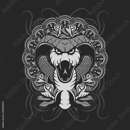 SILVER COBRA SHOWING FANGS