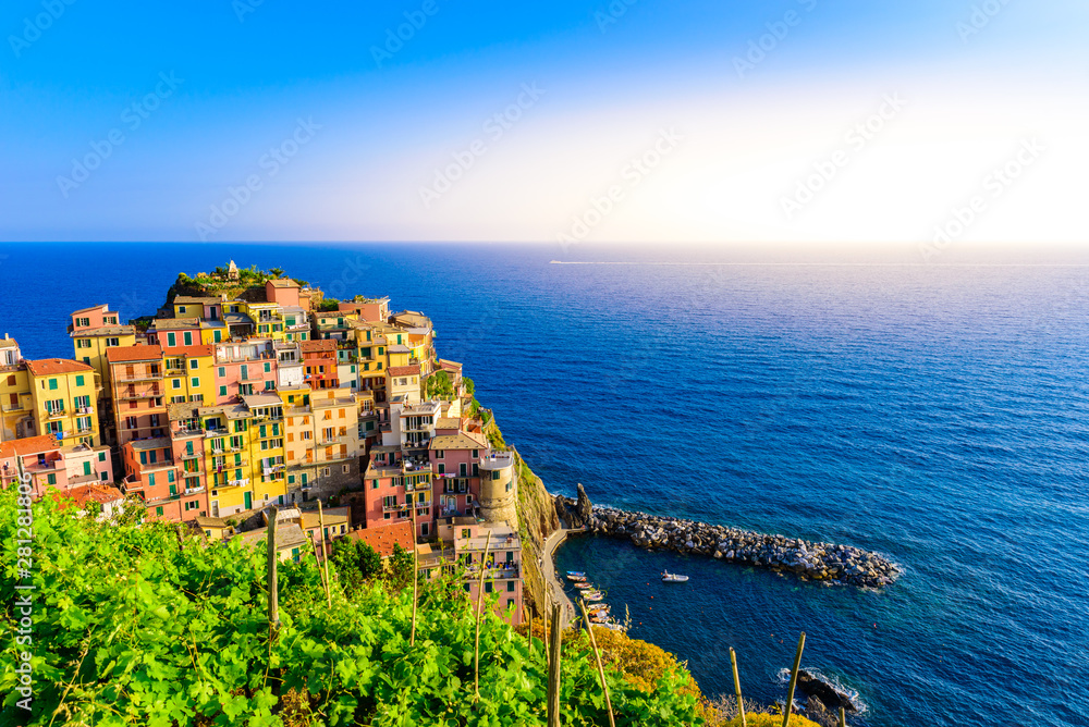 Manarola village in beautiful scenery of mountains and sea - Spectacular hiking trails in vineyard with flowers in Cinque Terre National Park,  Liguria, Italy, Europe