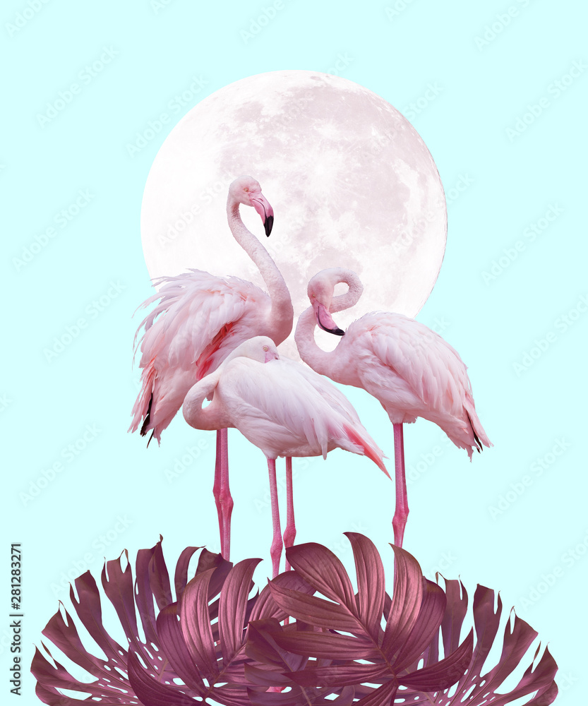 moon and flamingo background design in light pink and turquoise colors, can be used as background, wallpaper