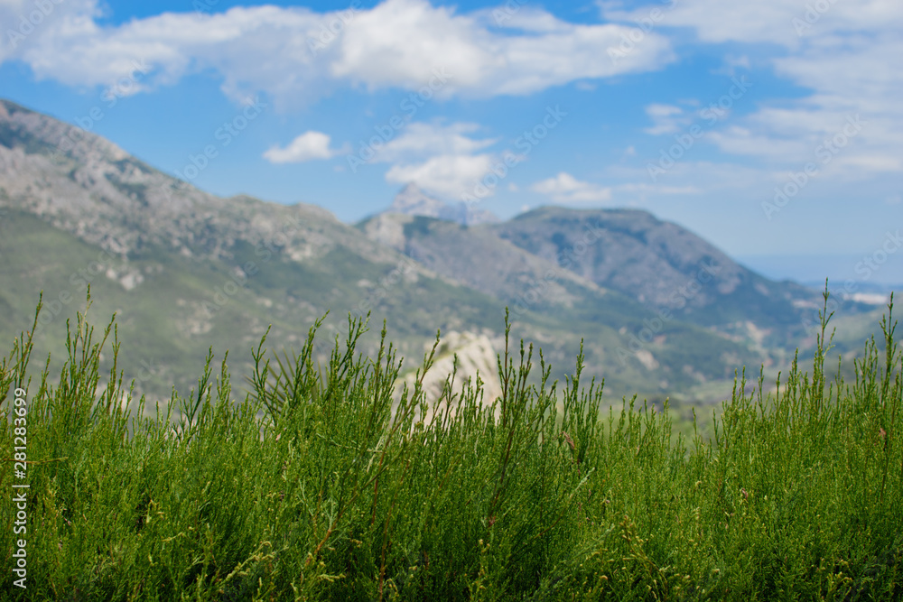 Fototapeta premium Beautiful rocky mountains.