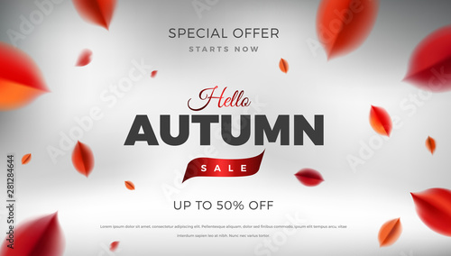 Autumn sale background with red leaves, fall nature vector design elements.Web layout template