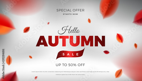 Autumn sale background with red leaves, fall nature vector design elements.Web layout template