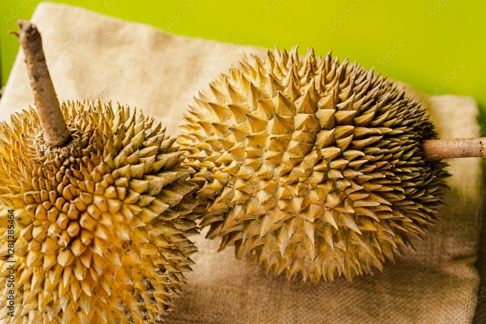Fototapeta premium Durian