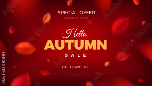 Autumn sale banner background with red leaves, fall nature vector promo design elements. Web layout template