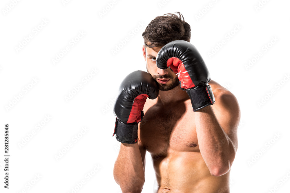 muscular Boxer in boxing gloves Isolated On White
