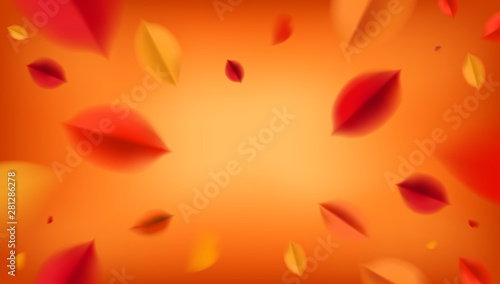 Orange Autumn banner background with red leaves, fall nature vector design elements. Web layout template