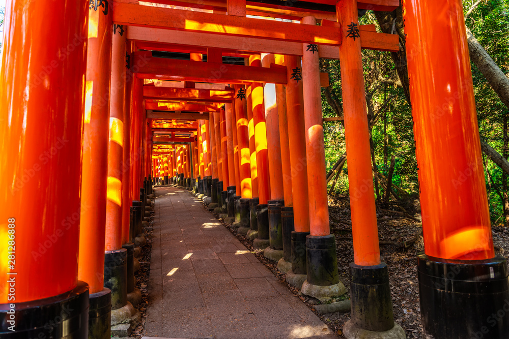 red Torii path with sun beams, tourist famous place in Japan, Kyoto red Torii path with sun beams, tourist famous place in Japan, Kyoto