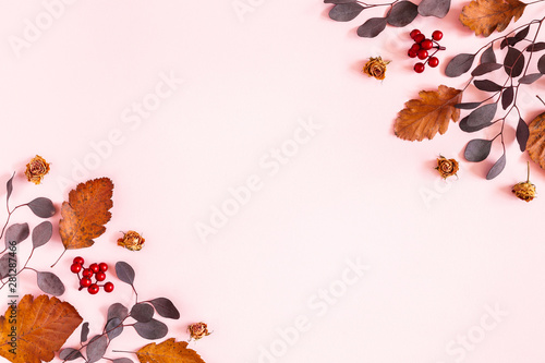 Autumn composition. Frame made of dried leaves, flowers on pink background. Autumn, fall concept. Flat lay, top view, copy space