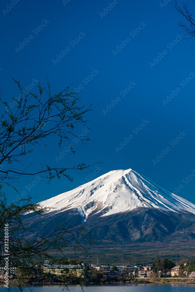Fototapeta premium Mt. Fuji at kawaguchiko Fujiyoshida, Japan.