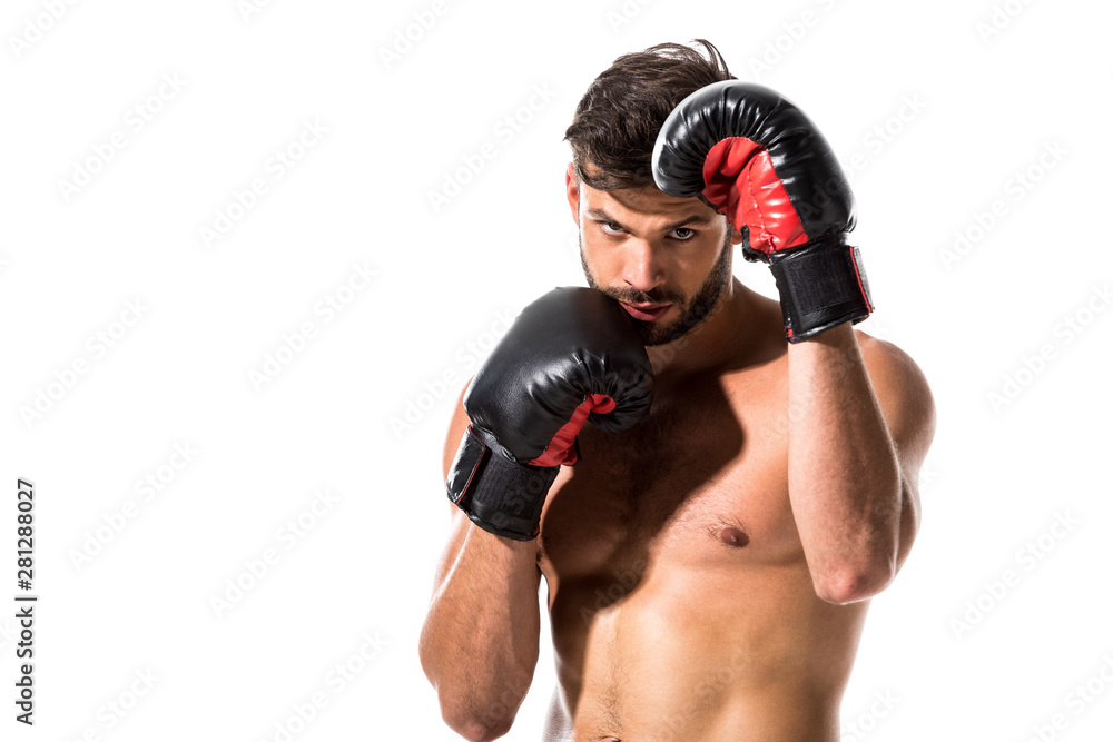 muscular Boxer in boxing gloves Isolated On White with copy space