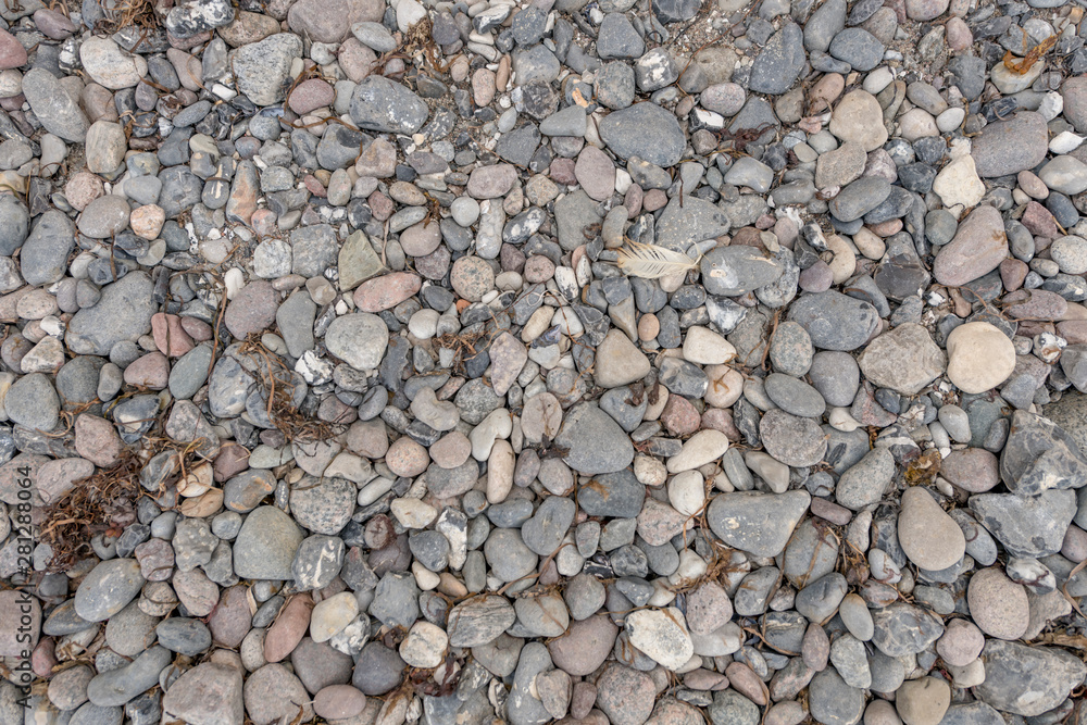 Gray pebbles on the sea beach with dried seagrass and algae deposits Gray pebbles on the sea beach with dried seagrass and algae deposits