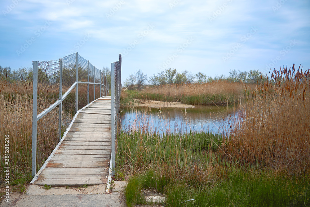 Landscape bridge that leads to the other side Landscape bridge that leads to the other side