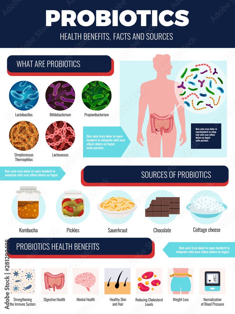 Naklejka premium Probiotics Infographic Set