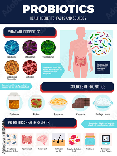 Probiotics Infographic Set