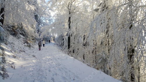 Winterweg photo