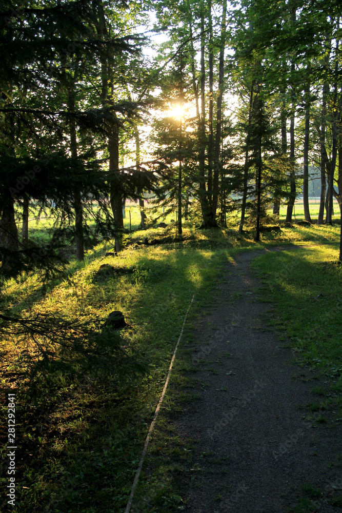 Fototapeta premium Large grass field in countryside and road