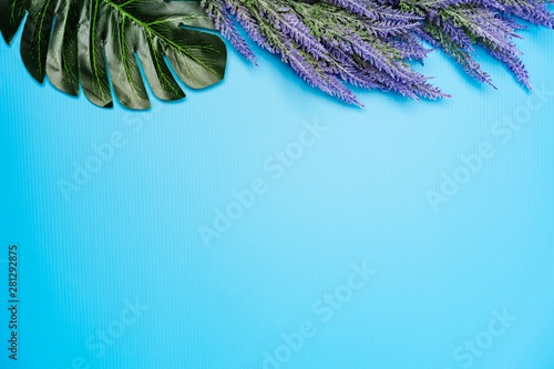 Lavenders