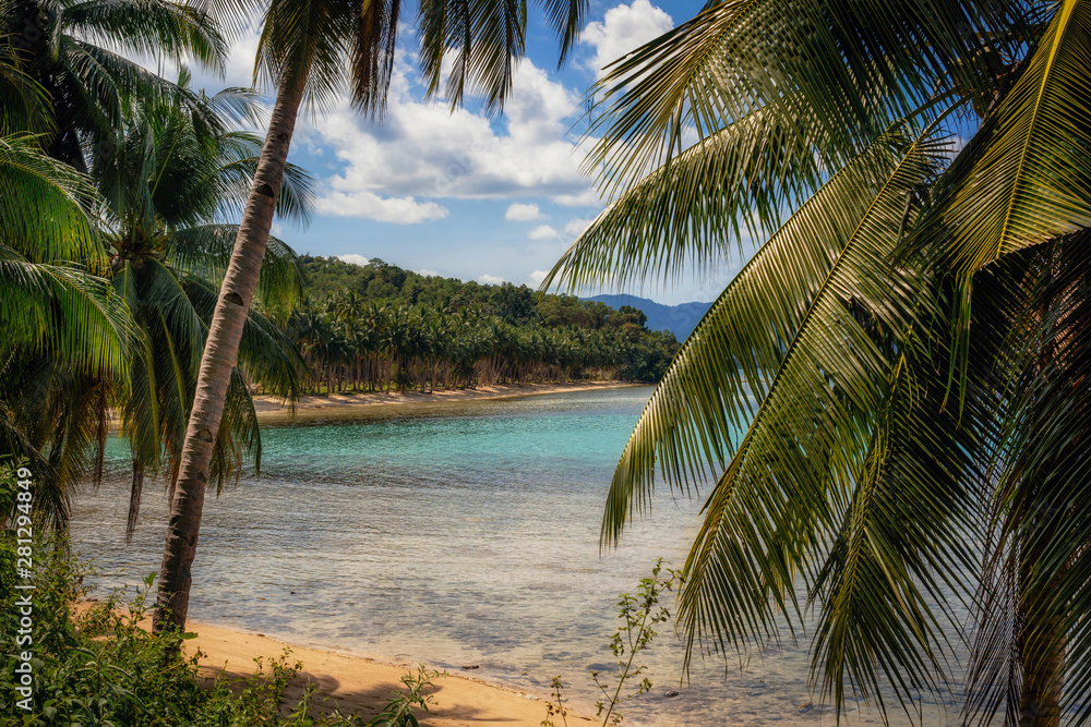 Naklejka premium Coconut Beach through jungle with palm trees in Port Barton, Palawan, Philippines