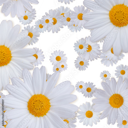 Frisches Hintergrund-Blumen...