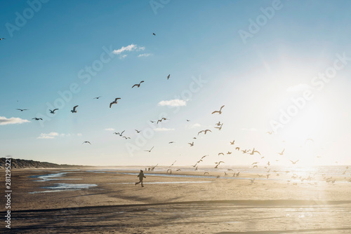 Denmark, Blokhus, boy chasing flock of seagulls on the beach photo