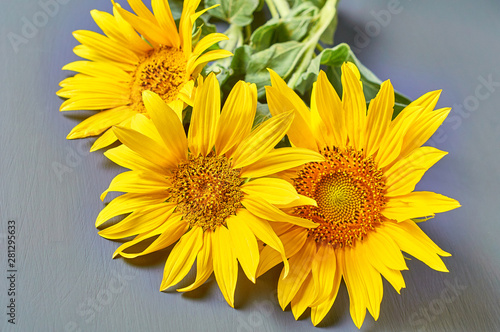 Beautiful bouquet of blossoming sunflowers with yellow leaves on gray concrete