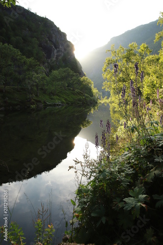 Idyllic morning by the lake