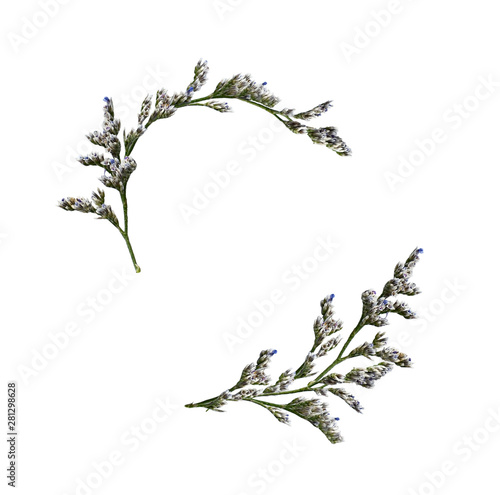 Set of floral waved arrange...