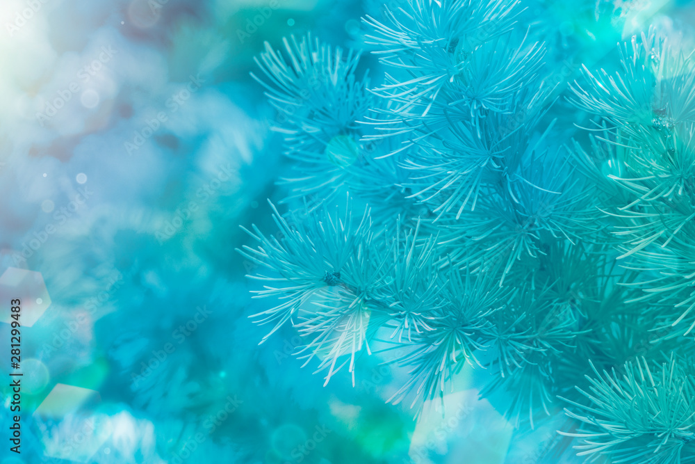 Winter bright background. Christmas landscape and pine branches in the frost. Copy space Winter bright background. Christmas landscape and pine branches in the frost. Copy space