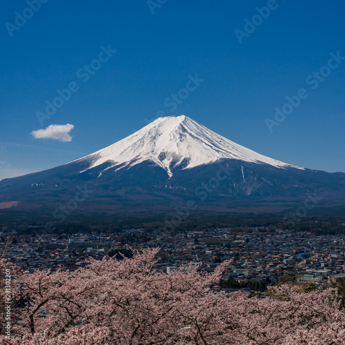 Mt. Fuji in the spring time with cherry blossoms at kawaguchiko Fujiyoshida, Japan.