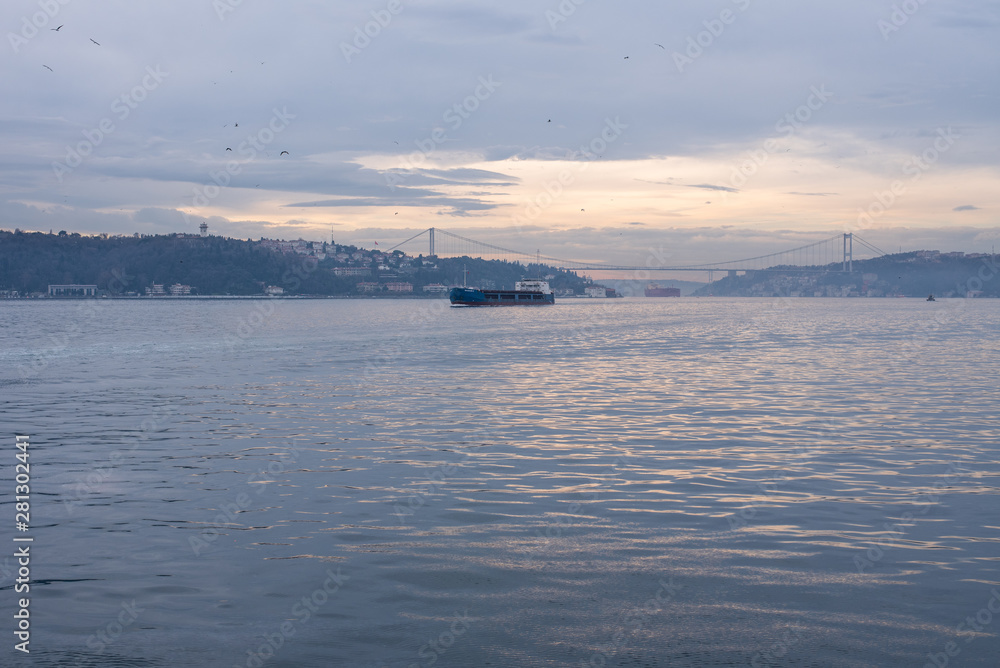 cargo ship in the strait of istanbul