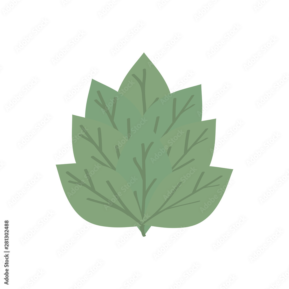 leaf plant garden nature icon leaf plant garden nature icon