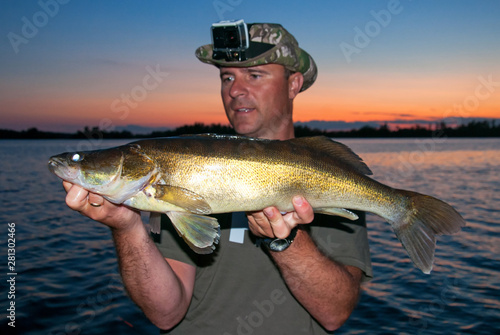 Fototapeta Naklejka Na Ścianę i Meble -  Zander fishing trophy at sunset