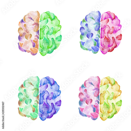 Set of watercolor illustration brain and development in four color options. Objects isolated on white background.