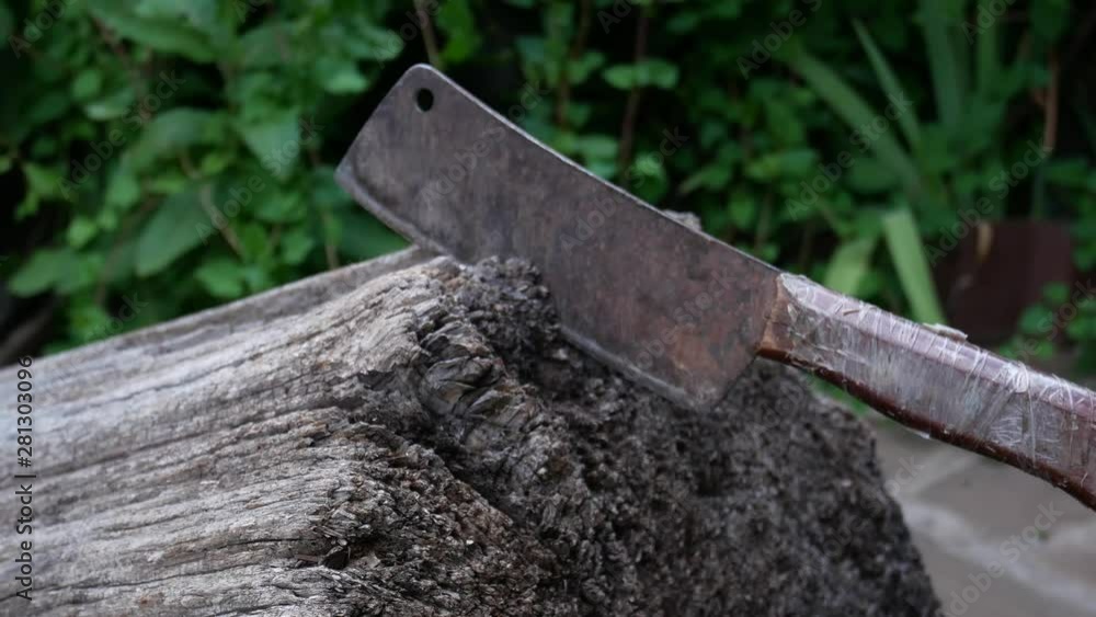Somebody leaves an old meat cleaver wedged in the piece of lumber. Man swings a cleaver into old tree log. Close up Somebody leaves an old meat cleaver wedged in the piece of lumber. Man swings a cleaver into old tree log. Close up