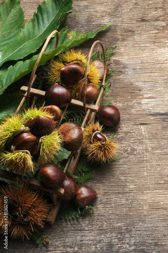 Castagne ft7110_0923 Chestnuts photo