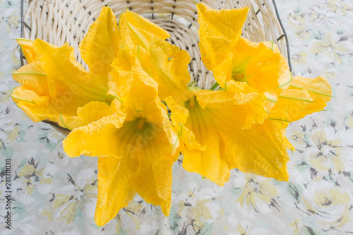 freshly picked pumpkin flowers  used in many vegetarian dishes photo