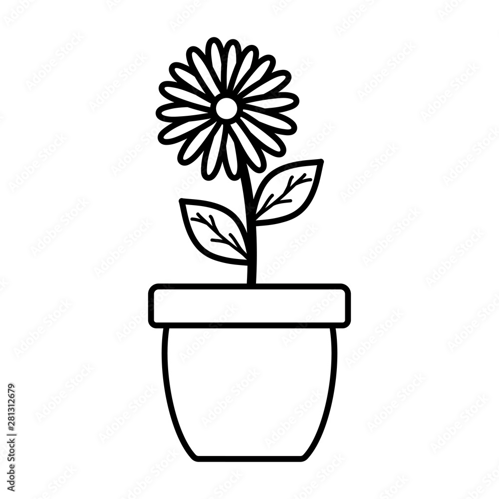 cute sunflower and leafs plant in ceramic pot cute sunflower and leafs plant in ceramic pot