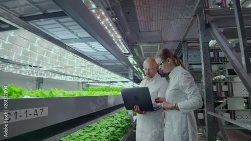 Wallpaper Mural Modern vertical farming system and its employees taking care of plants. Plant food production in vertically stacked layers Torontodigital.ca
