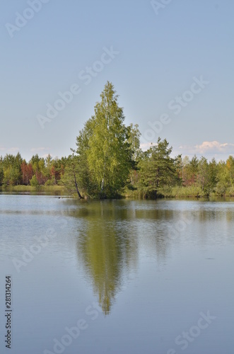 landscape with lake and trees