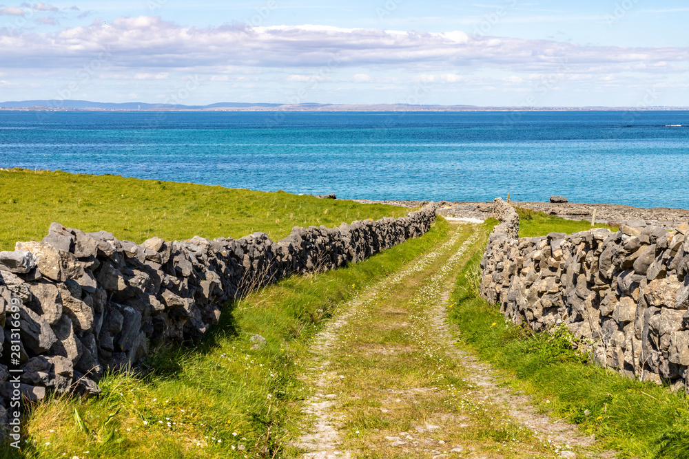 Farm road and field with  Galway bay in background in Inishmore