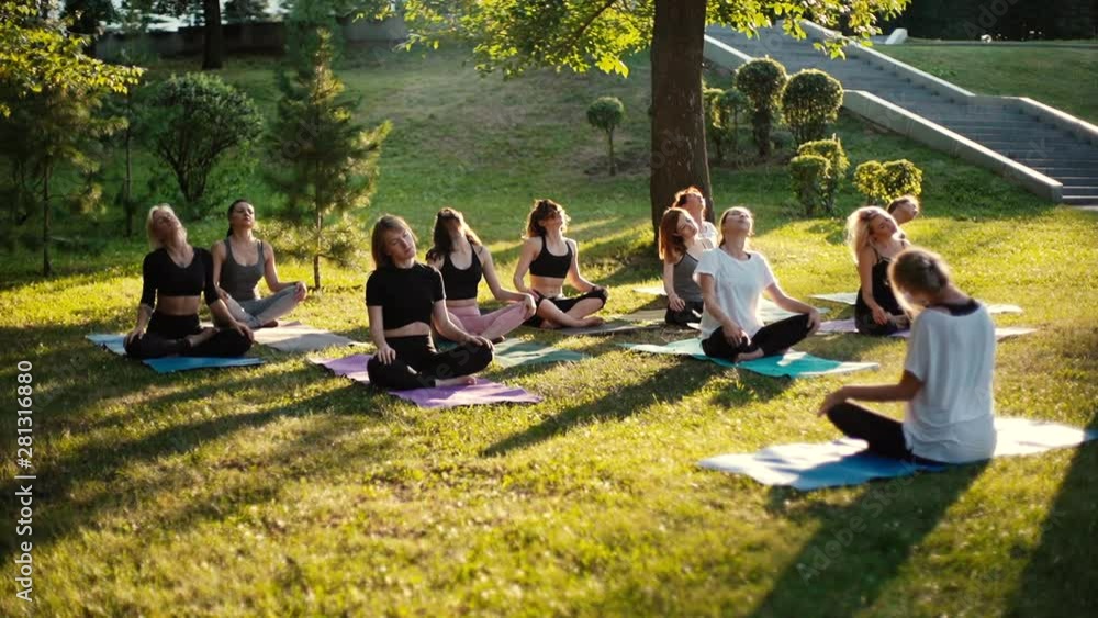 Group of women is stretching necks in park on summer sunny morning under guidance of coach in slow motion. Group of people outdoors is sitting on yoga mat in lotus pose on grass with their eyes closed Group of women is stretching necks in park on summer sunny morning under guidance of coach in slow motion. Group of people outdoors is sitting on yoga mat in lotus pose on grass with their eyes closed