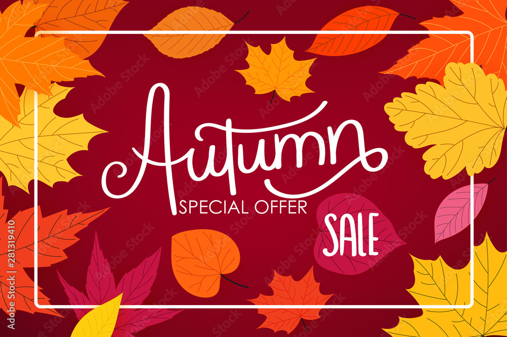 Autumn sale calligraphic logo with color fall leaves. Special offer