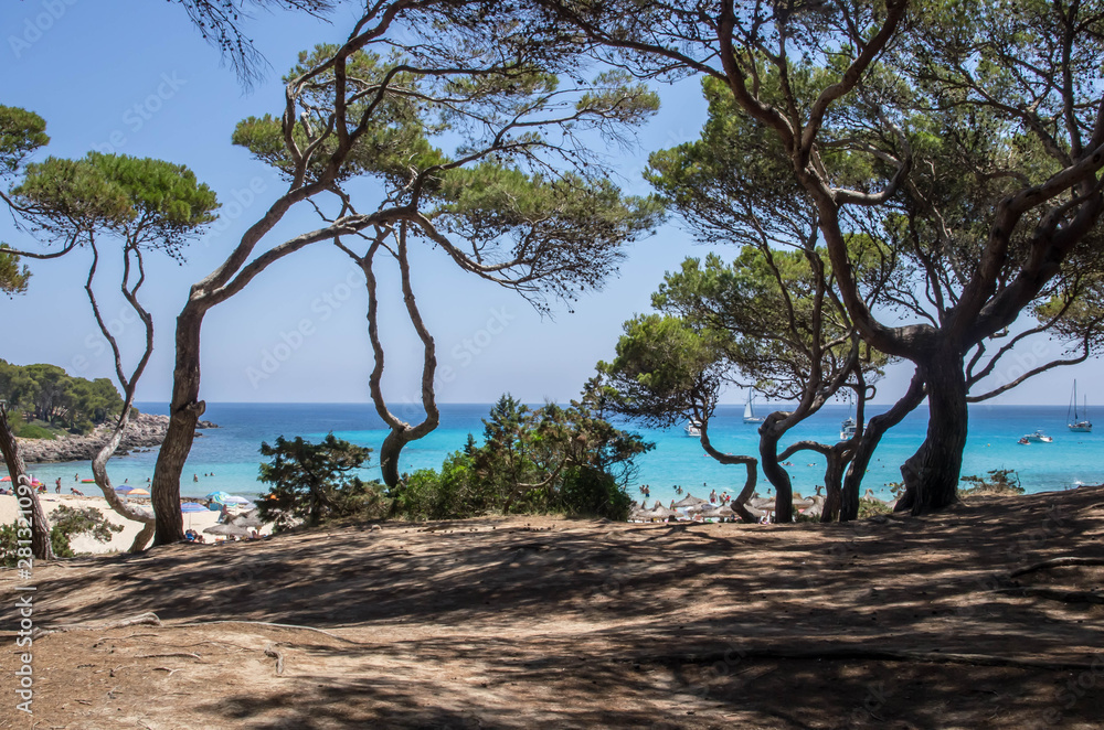 Cala Agulla à Majorque Cala Agulla à Majorque