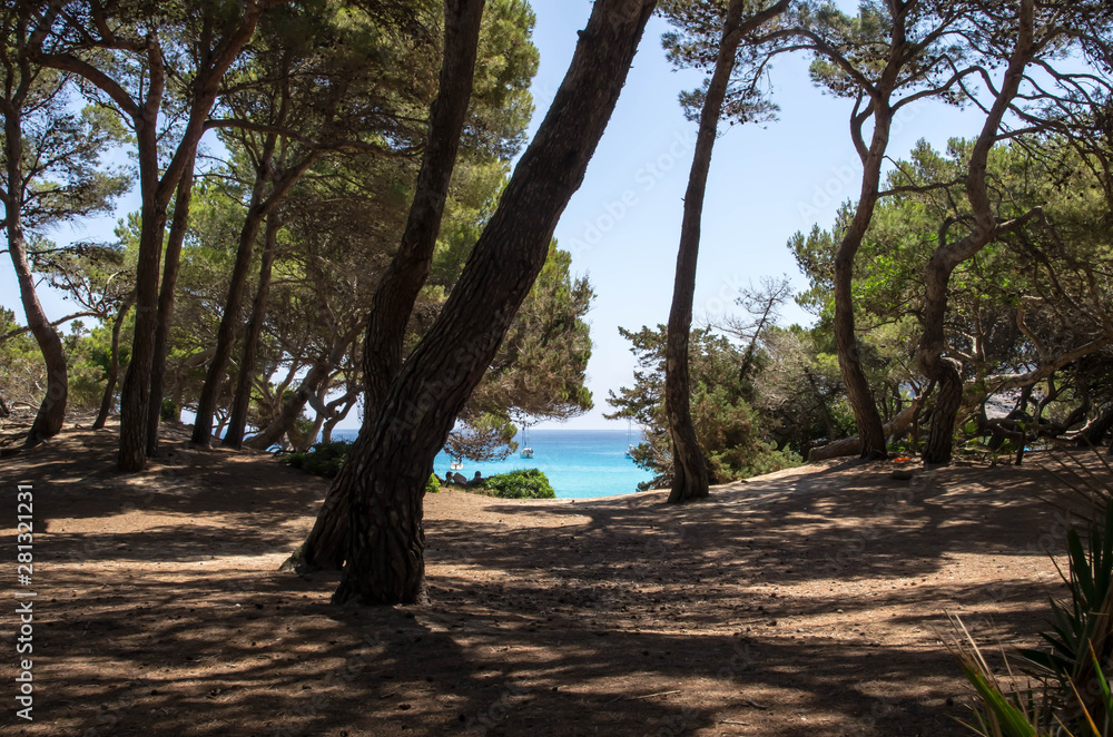cala agulla à Majorque cala agulla à Majorque
