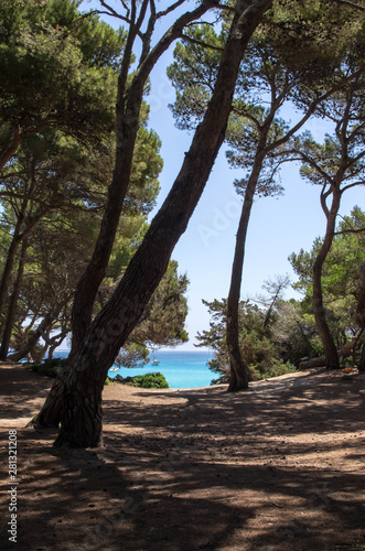 cala agulla à Majorque