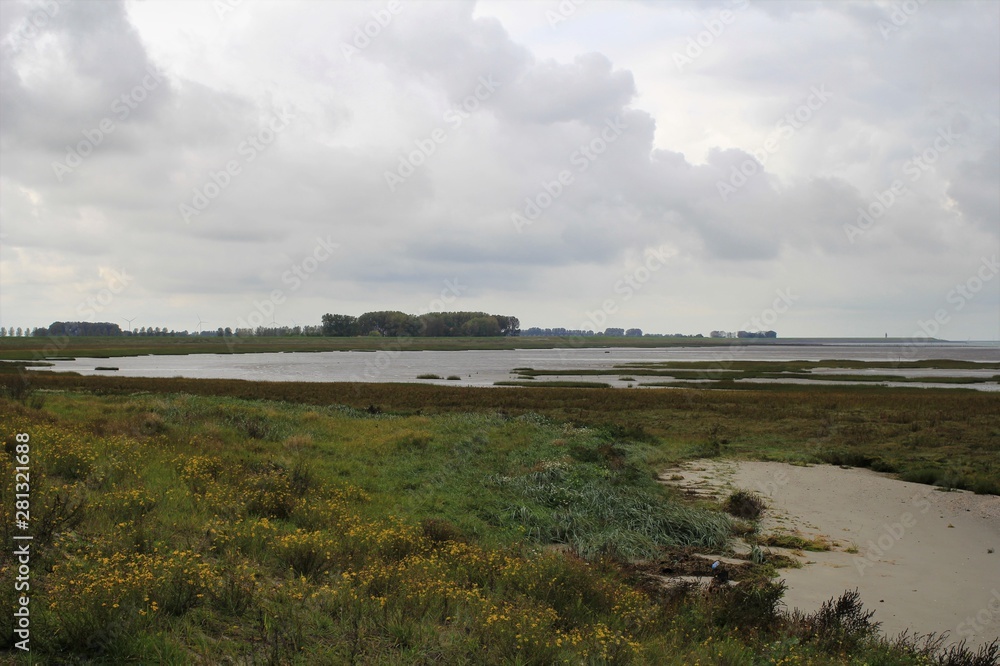 green salt marsh along the westerschelde with a grey sky in zeeland, holland in autumn