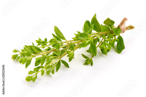 Oregano leaves, marjoram branch, isolated on white background