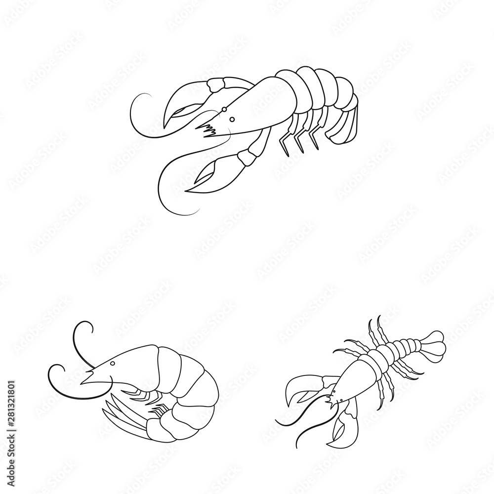 Fototapeta premium Isolated object of food and sea icon. Collection of food and animal stock symbol for web.