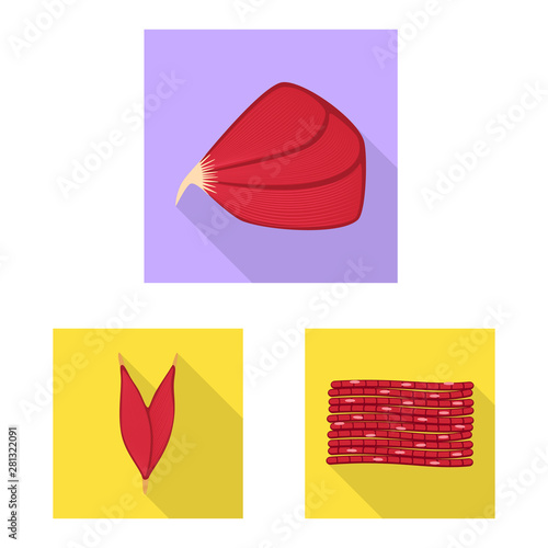 Vector design of muscle and cells logo. Set of muscle and anatomy vector icon for stock.