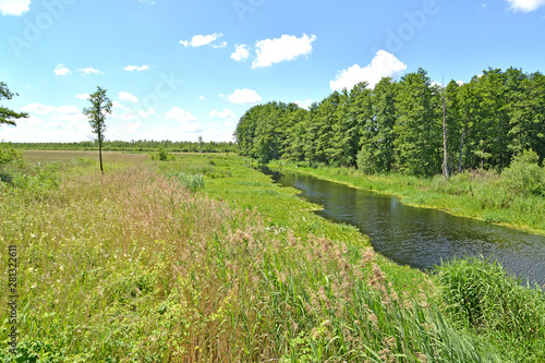 The small river Meadow in summer sunny day. Kaliningrad region